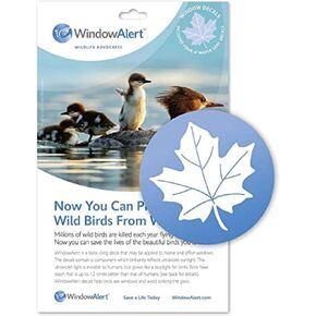 WindowAlert Butterfly Anti-Collision Decal - UV-Reflective Window Decal to Protect Wild Birds from Glass Collisions - Made in The USA in Saudi Arabia