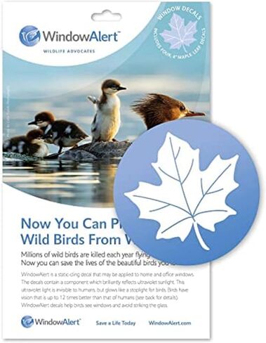 WindowAlert Butterfly Anti-Collision Decal - UV-Reflective Window Decal to Protect Wild Birds from Glass Collisions - Made in The USA in Saudi Arabia
