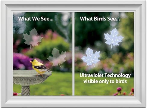WindowAlert Butterfly Anti-Collision Decal - UV-Reflective Window Decal to Protect Wild Birds from Glass Collisions - Made in The USA in Saudi Arabia