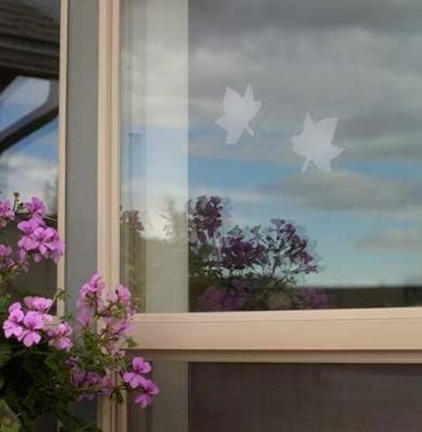 WindowAlert Butterfly Anti-Collision Decal - UV-Reflective Window Decal to Protect Wild Birds from Glass Collisions - Made in The USA in Saudi Arabia