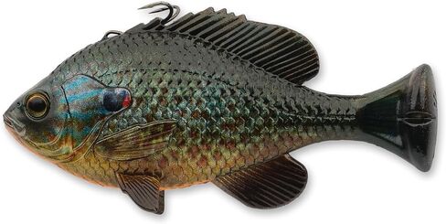 3D Pulse Tail Bluegill Line Thru 5 1/2" Crappie (Slow Sink) in Saudi Arabia