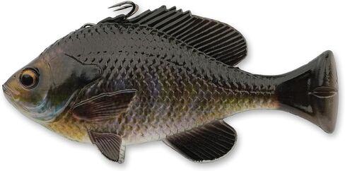 3D Pulse Tail Bluegill Line Thru 5 1/2" Crappie (Slow Sink) in Saudi Arabia