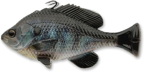 3D Pulse Tail Bluegill Line Thru 5 1/2" Crappie (Slow Sink) in Saudi Arabia