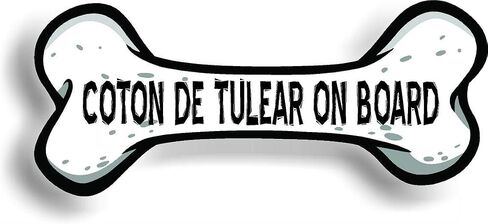 Coton de Tulear على متن ملصق Car Magnet المصد 3 "X7" in Kuwait