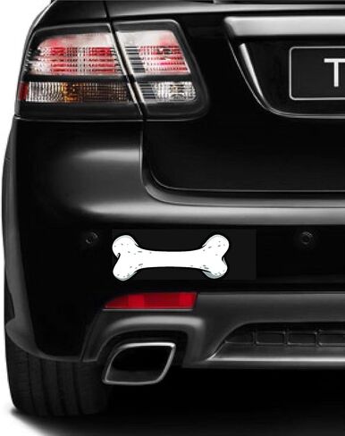 Coton de Tulear على متن ملصق Car Magnet المصد 3 "X7" in Kuwait