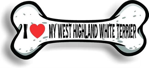 Coton de Tulear على متن ملصق Car Magnet المصد 3 "X7" in Kuwait