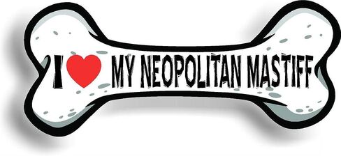 Coton de Tulear على متن ملصق Car Magnet المصد 3 "X7" in Kuwait