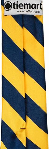 Tiemart Boys 'Neckties لمدة 8 إلى 13 عامًا (Navy Blue و Golden Yellow Striped) in Saudi Arabia
