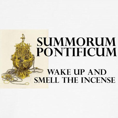 CafePress Summorum Pontificum Kids Baseball Jersey Kids Cotton Baseball Jersey, 3/4 Raglan Sleeve Shirt in Saudi Arabia