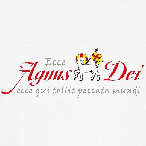 Cafepress Agnus dei Kids Baseball Jersey Kids Cotton Baseball Jersey ، 3/4 Raglan Sleeve Shirt in Saudi Arabia