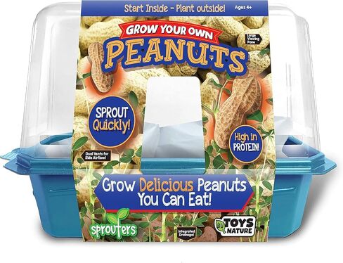 Grow Your Own Bananas - Indoor Banana Growing Kit - Cultivate Edible Mini Bananas at Home - Plants Grow up to 1 Foot per Month - Easy & Fun for All Ages in Saudi Arabia