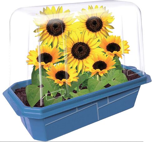 Grow Your Own Bananas - Indoor Banana Growing Kit - Cultivate Edible Mini Bananas at Home - Plants Grow up to 1 Foot per Month - Easy & Fun for All Ages in Saudi Arabia