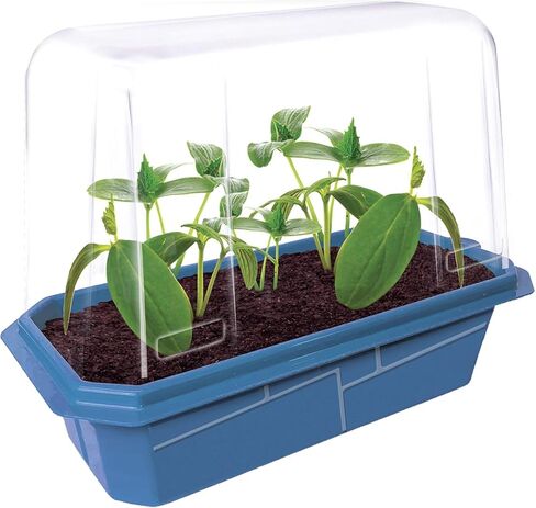 Grow Your Own Bananas - Indoor Banana Growing Kit - Cultivate Edible Mini Bananas at Home - Plants Grow up to 1 Foot per Month - Easy & Fun for All Ages in Saudi Arabia