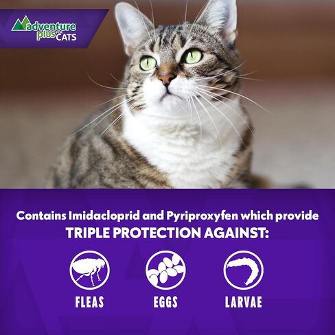 Adventure Plus Triple Flea Protection for Cats – Spot on Flea & Tick Prevention for Cats 9lbs & over – 4 Doses in Saudi Arabia