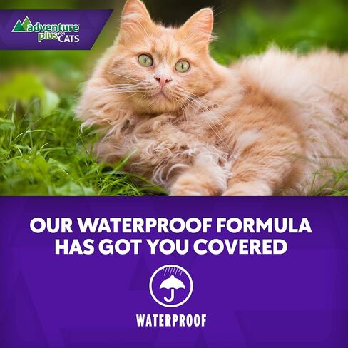 Adventure Plus Triple Flea Protection for Cats – Spot on Flea & Tick Prevention for Cats 9lbs & over – 4 Doses in Saudi Arabia