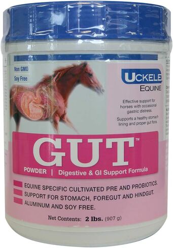 Uckele Gut Horse Supplement - Equine Vitamin & Mineral Supplement - 2 pound (lb) in Saudi Arabia