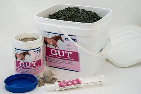 Uckele Gut Horse Supplement - Equine Vitamin & Mineral Supplement - 2 pound (lb) in Saudi Arabia