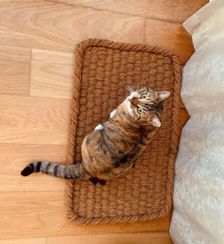AgnesGP Handcrafted Coco Coir Cat Bed - 30x18x1.6" Organic, Comfortable, Durable Oasis for Cats - Premium Quality, Stylish Design, and Eco-Friendly Haven. in Saudi Arabia