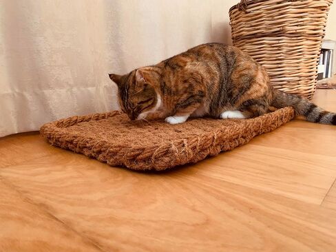 AgnesGP Handcrafted Coco Coir Cat Bed - 30x18x1.6" Organic, Comfortable, Durable Oasis for Cats - Premium Quality, Stylish Design, and Eco-Friendly Haven. in Saudi Arabia