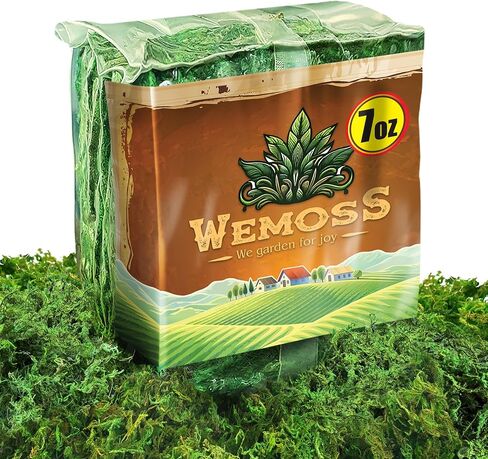 Green Craft Moss, Real Forest Moss for Planters, Decorative Moss for Table Centerpieces Wedding Christmas Fairy Party Decor, Forest Moss for Indoor Planters, DIY Project 7 Oz in Saudi Arabia
