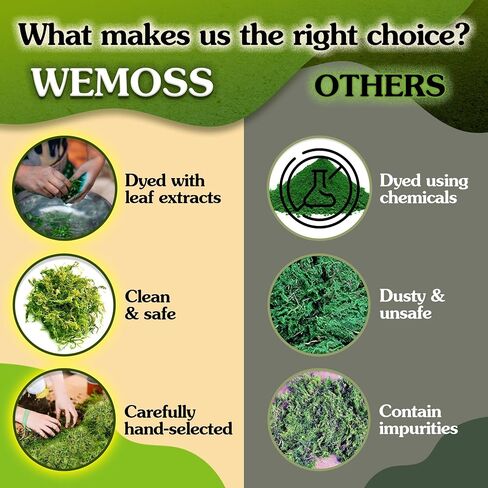 Green Craft Moss, Real Forest Moss for Planters, Decorative Moss for Table Centerpieces Wedding Christmas Fairy Party Decor, Forest Moss for Indoor Planters, DIY Project 7 Oz in Saudi Arabia