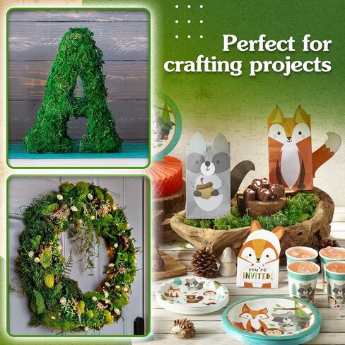 Green Craft Moss, Real Forest Moss for Planters, Decorative Moss for Table Centerpieces Wedding Christmas Fairy Party Decor, Forest Moss for Indoor Planters, DIY Project 7 Oz in Saudi Arabia