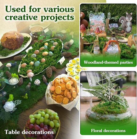 Green Craft Moss, Real Forest Moss for Planters, Decorative Moss for Table Centerpieces Wedding Christmas Fairy Party Decor, Forest Moss for Indoor Planters, DIY Project 7 Oz in Saudi Arabia