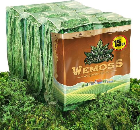 Green Craft Moss, Real Forest Moss for Planters, Decorative Moss for Table Centerpieces Wedding Christmas Fairy Party Decor, Forest Moss for Indoor Planters, DIY Project 7 Oz in Saudi Arabia