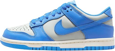 Nike Dunk Low Big Kids' Shoes (FB9109-004, Light Silver/Sail/Light Photo Blue) in Saudi Arabia