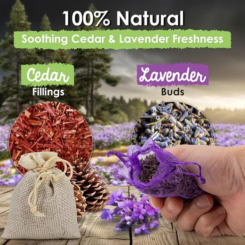 Ecokiwi Cedar & Lavender Sachets-20 كيسًا للعطر المنزلي والروائح الطازجة ، وأيديار آند لافندر للأدراج وأقرب ، وأقرب ، وأغراض ثنائية الأغراض لوقف أضرار الملابس وأقرب نضارة in Saudi Arabia
