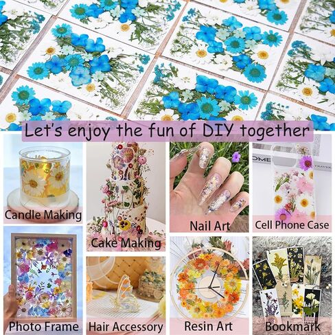 190Pcs Dried Pressed Flowers for Crafts,Xinxinran Dry Flower Kit for Resin Molds,Epoxy Resin Accessories,Bookmark,Nails, Jewelry Molds,Candle Making Supplies,Soap,Frame(Bright Color) in Kuwait