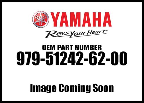 Yamaha 97951-24262-00 PUNCE PICK ASSY 6 ؛ 979512426200 in Saudi Arabia