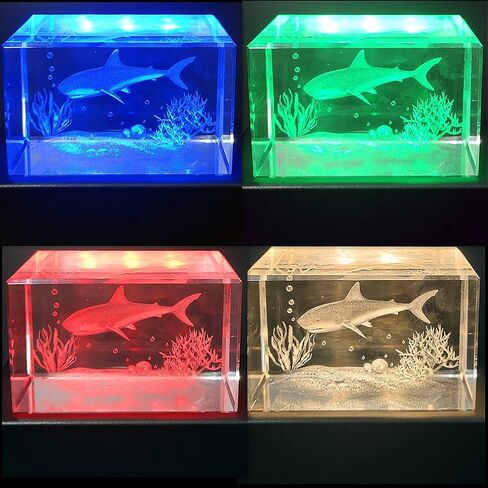 EUSTUMA LED Light Base Rectangle Display Stand In A Variety of Colors,Lighted Up Stand Color Changing Small LED for 3D Glass Crystal Art,Holiday Party Decoration. (Black, Small) in Kuwait