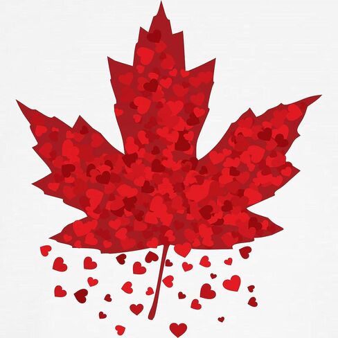 Cafepress Red Maple Leaf Kids Baseball Jersey Kids Cotton Baseball Jersey ، 3/4 Raglan Sleeve Shirt in Saudi Arabia