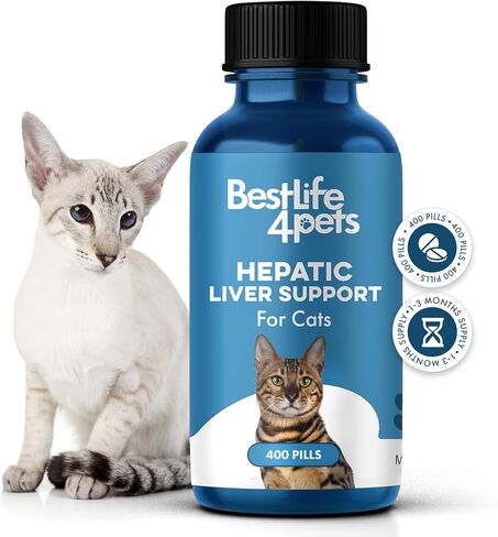 BestLife4Pets Hepatic Dog Liver Support - Dissolvable Homeopathic Liver and Digestive Canine Supplement for Liver Detox and Nutrient Absorption - 100% All Natural - Free of Chemicals or Additives in Kuwait