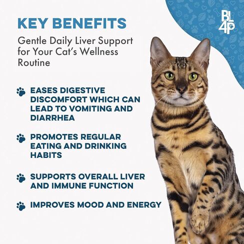 BestLife4Pets Hepatic Dog Liver Support - Dissolvable Homeopathic Liver and Digestive Canine Supplement for Liver Detox and Nutrient Absorption - 100% All Natural - Free of Chemicals or Additives in Kuwait