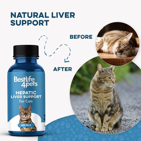 BestLife4Pets Hepatic Dog Liver Support - Dissolvable Homeopathic Liver and Digestive Canine Supplement for Liver Detox and Nutrient Absorption - 100% All Natural - Free of Chemicals or Additives in Kuwait