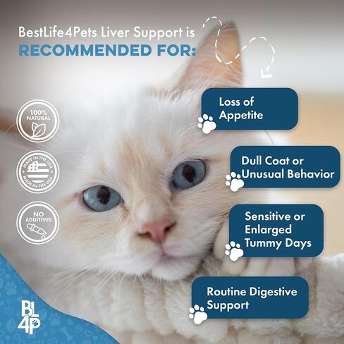 BestLife4Pets Hepatic Dog Liver Support - Dissolvable Homeopathic Liver and Digestive Canine Supplement for Liver Detox and Nutrient Absorption - 100% All Natural - Free of Chemicals or Additives in Kuwait