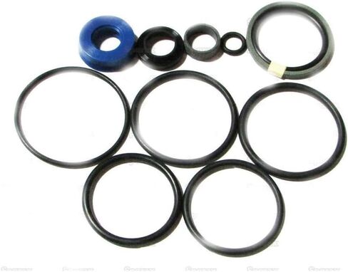 Replacement For Fits S.69203 Repair Kit, P.S. Cylinder 69202 Fits Ford/New Holland in Saudi Arabia