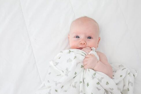 lulujo Baby Swaddle Blanket Unisex Softest 100% Cotton Muslin Swaddle Blanket Neutral Receiving Blanket for Girls & Boys| 40in x 40in| Baby Gift| Blueberies in Kuwait