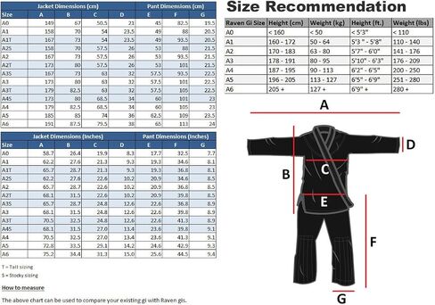 Raven Fightwear Men's Thor Nordic Brazilian Jiu jitsu uniform Premium BJJ GI in Kuwait