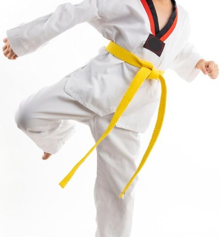 PLIGREAT Taekwondo Ranking Belt, 7.87ftx1.57inch Polyester Karate Judo Belt Martial Arts Ranking Judo Belts for Adults Kids Coach Teaching, Black in Saudi Arabia