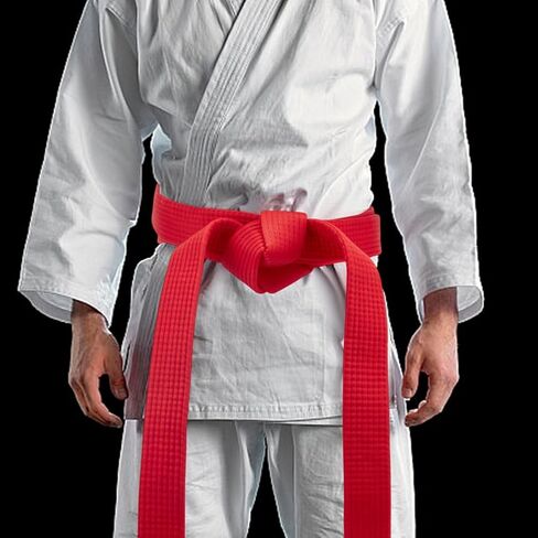 PLIGREAT Taekwondo Ranking Belt, 7.87ftx1.57inch Polyester Karate Judo Belt Martial Arts Ranking Judo Belts for Adults Kids Coach Teaching, Black in Saudi Arabia