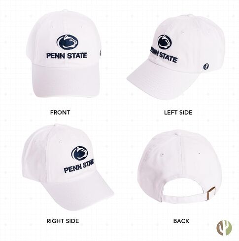 Desert Cactus Penn State University Baseball Hat Pennsylvania PSU Nittany Lions Brimmed Embroirderd Hats Cap Adjustable Cloth Strap Adult (Style F1) in Saudi Arabia
