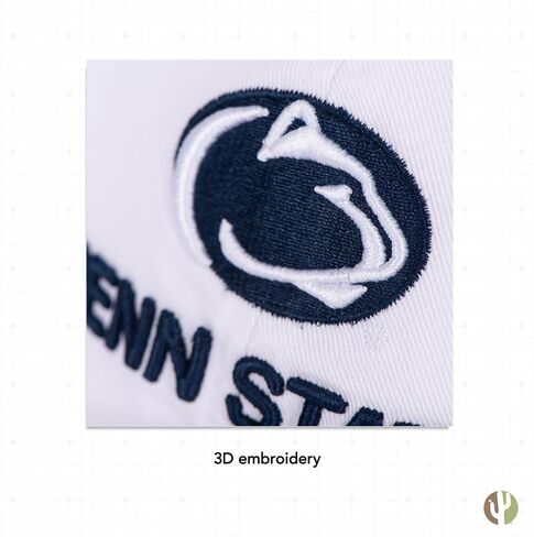 Desert Cactus Penn State University Baseball Hat Pennsylvania PSU Nittany Lions Brimmed Embroirderd Hats Cap Adjustable Cloth Strap Adult (Style F1) in Saudi Arabia