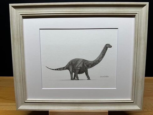 برتوس برونتوسور مينوروس جرافيت فني رسم رسم رسم طباعة صورة محدودة ~ بعنوان "The Gentle Giant" بقلم David Allen (11x14 Frame & Print) in Kuwait