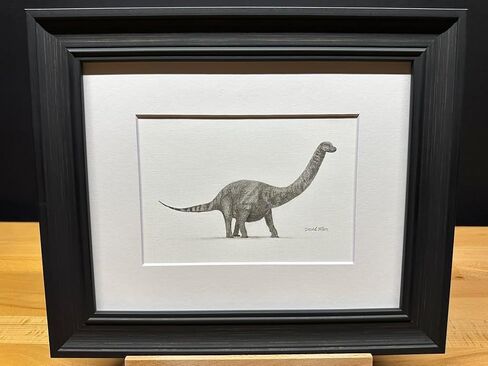 برتوس برونتوسور مينوروس جرافيت فني رسم رسم رسم طباعة صورة محدودة ~ بعنوان "The Gentle Giant" بقلم David Allen (11x14 Frame & Print) in Kuwait