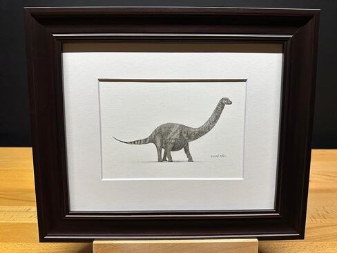 برتوس برونتوسور مينوروس جرافيت فني رسم رسم رسم طباعة صورة محدودة ~ بعنوان "The Gentle Giant" بقلم David Allen (11x14 Frame & Print) in Kuwait