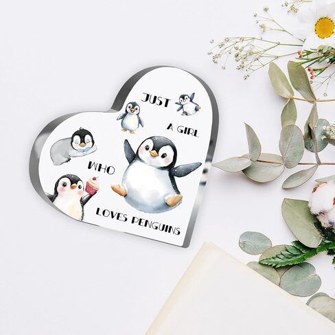 Cat Gifts for Cat Lovers, Cat Lover Birthday Gifts for Women, Just a Girl Who Loves Acrylic Sign, Cat Themed Paperweight Birthday Friendships Gifts, Desk Table Decor for Girls in Saudi Arabia