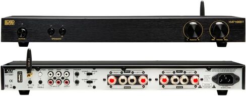 OSD XMP300 GEN2 2X 300W Class D High Power Stereo Amplifier, Bass and Treble Control 90 dB SNR in Saudi Arabia